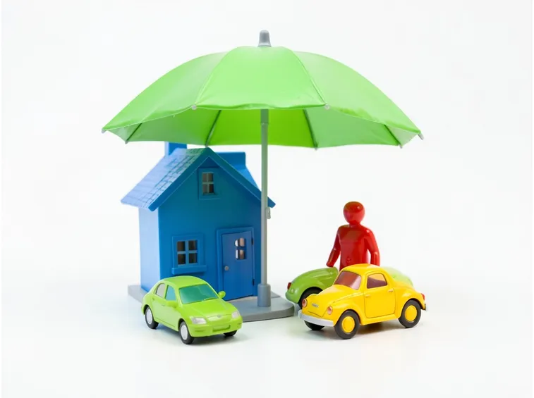 protezione di casa, auto, persona.

