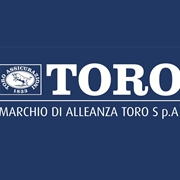 Preventivo Toro Assicurazioni